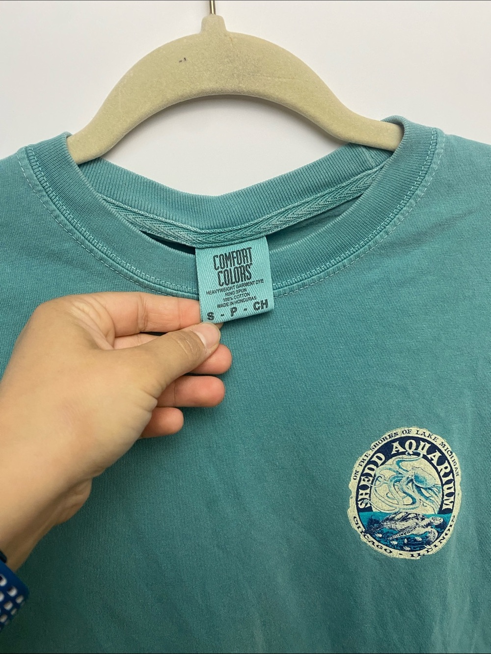Comfort Colors Teal Short-Sleeve Graphic Tee - Picture 2 of 4